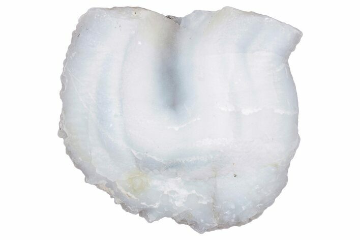 Botryoidal Chalcedony Formation - New Mexico #320073